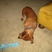Susie Castro Photo 36
