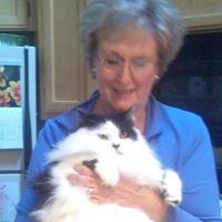 Pat Berg Photo 7