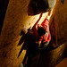 Jerome Meyer Photo 36