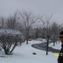 Jacob Roth Photo 26