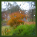 Michael Bloodgood Photo 30