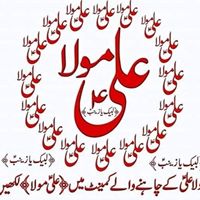 Sana Naqvi Photo 3