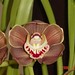 Peter Roesler Photo 18