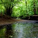 Todd Brooks Photo 38