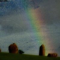 Sharon Ahearn Photo 4