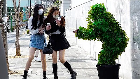 Asia Bush Photo 10
