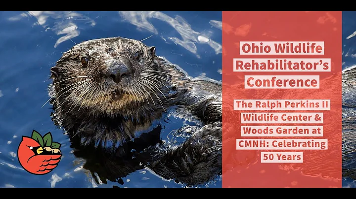 Ralph Perkins Photo 31