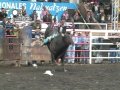 Rey Campuzano Photo 6