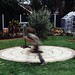 James Coniglio Photo 14