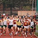 Pete Magill Photo 11