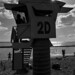 Joe Curley Photo 45
