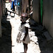 Kenya Bell Photo 36