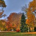 Christopher Hesse Photo 40