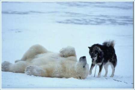 Amy Morris Photo 26