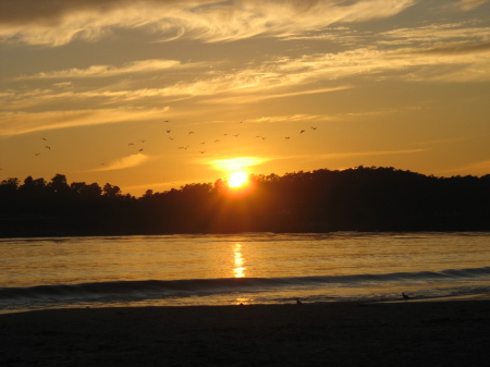 Ingrid Berry Photo 10