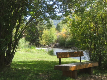 Angie Snider Photo 13
