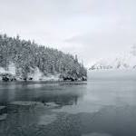Robert Papp Photo 45