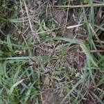 Karen Hardy Photo 29