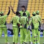 Muhammad Hafeez Photo 48