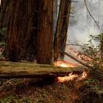 Lynn Olson Photo 56