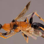 Michael Ohl Photo 43