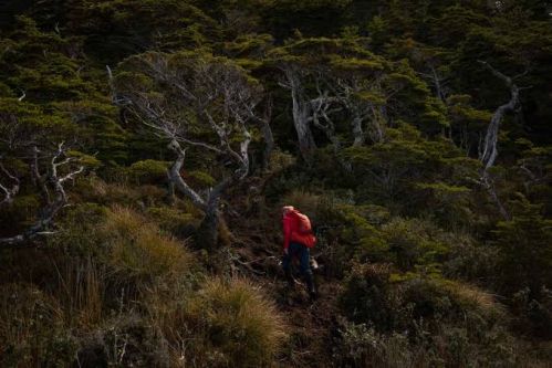 Douglas Tompkins Photo 22