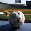 William Cuevas Photo 45