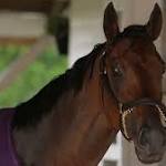 Kerry Thomas Photo 54